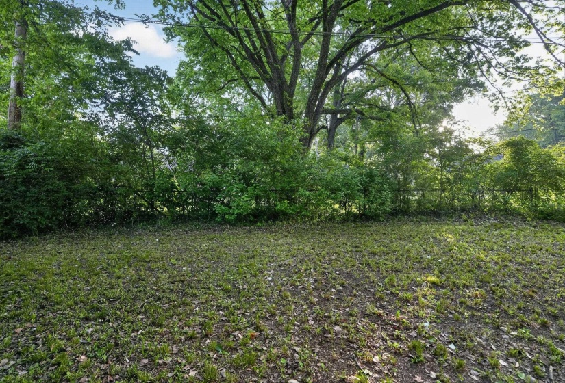 Expansive green space featuring mature trees and established perimeter foliage