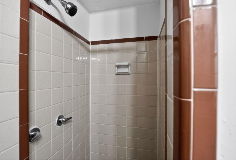 Shower stall with white square tiles and contrasting brown trim
