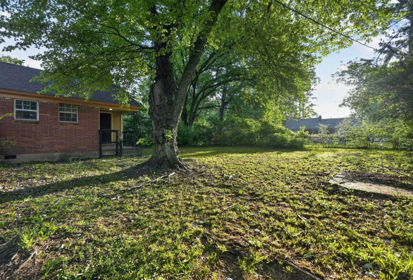 Expansive yard featuring a mature deciduous tree