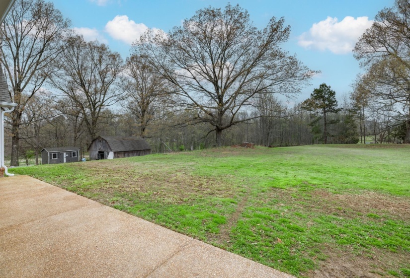 Expansive grassy area with mature trees and a concrete patio
