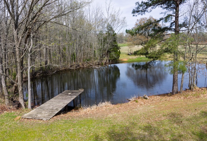 Private pond with a wooden dock, surrounded by mature trees and a grassy embankment