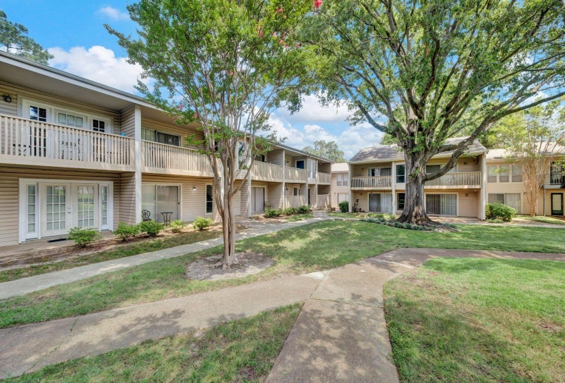 Landscaped courtyard featuring mature trees and winding concrete pathways