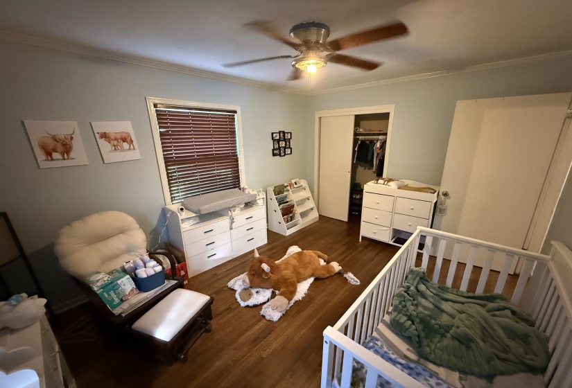 Bedroom with crown molding, a closet, a ceiling fan, dark wood finished floors, and a nursery area