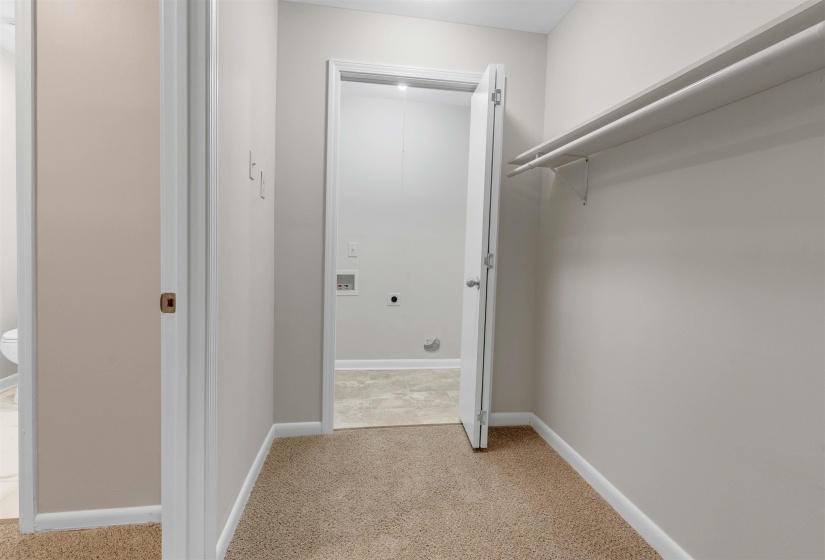 Carpeted walk-in closet featuring built-in shelving, hanging rods, and neutral wall paint