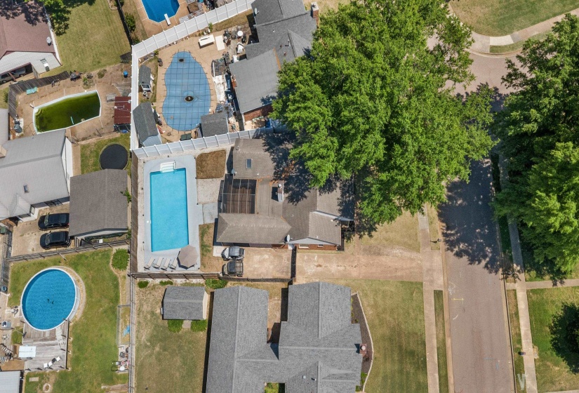 Rear yard featuring a rectangular inground swimming pool with surrounding hardscaping, a privacy fence, and a mature shade tree