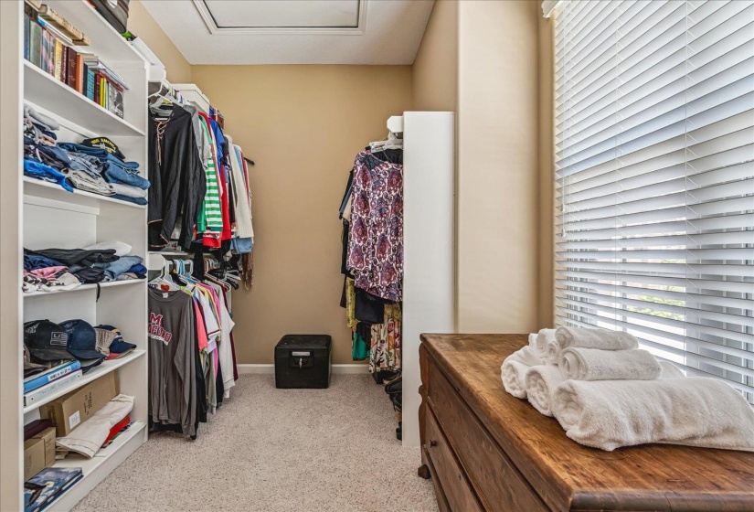 Walk-in closet featuring built-in shelving, hanging rods, light-toned carpeting, and natural light from a window with horizontal blinds
