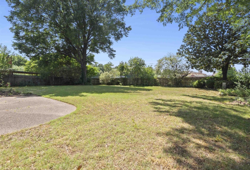 Expansive backyard featuring a large grass lawn, mature trees providing natural shade, and a curved concrete patio