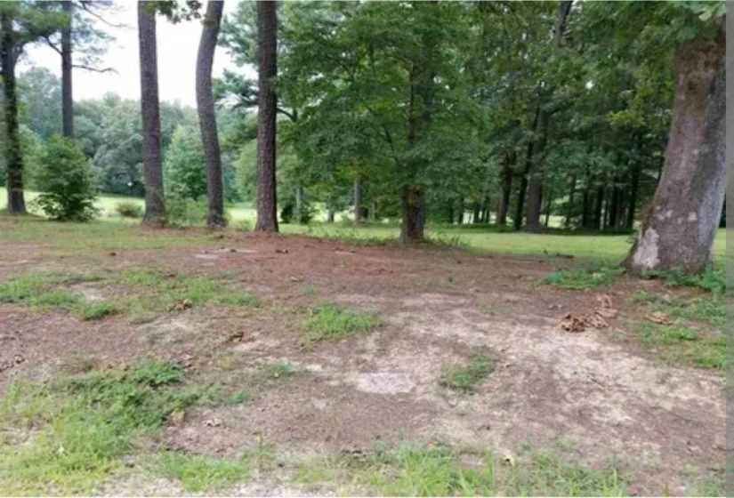 217 PARKBURG RD, Jackson, Tennessee 38301, ,Land,For Sale,PARKBURG,10220035
