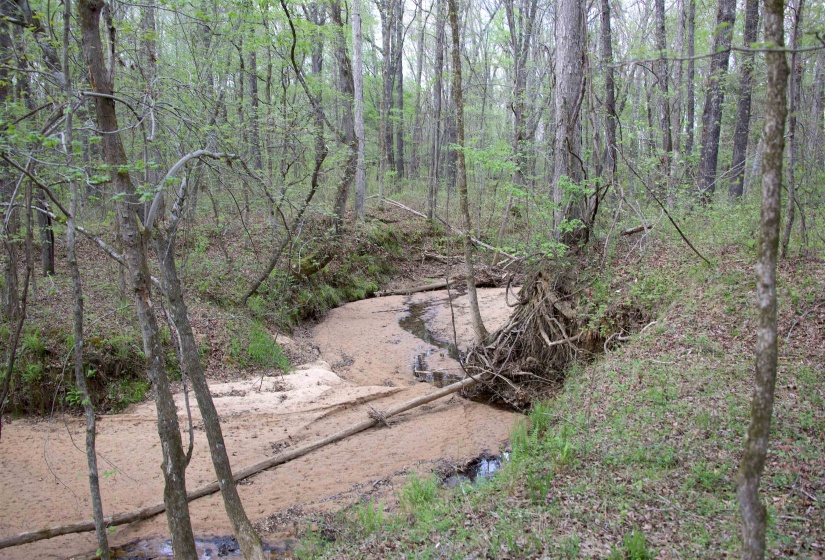 2787 BRYAN RD, Michigan City, Mississippi 38647, 0 , 0 ,0,Land,For Sale,BRYAN,0,10220097