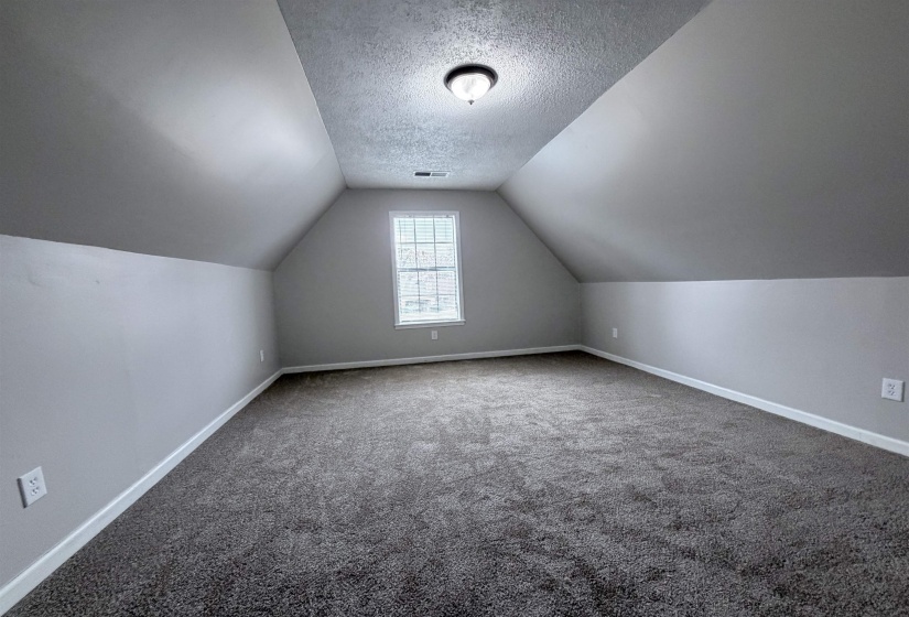 Bonus room with a textured ceiling, vaulted ceiling, and carpet