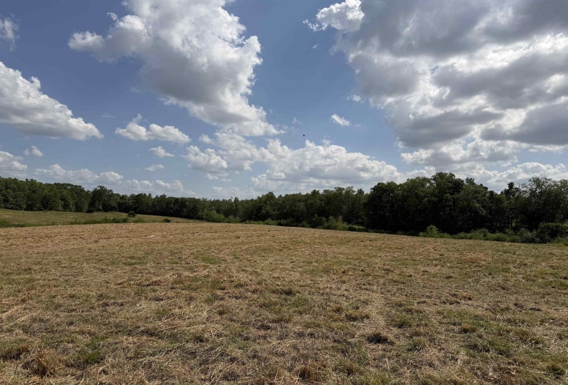 2 SALTILLO RD, Morris Chapel, Tennessee 38361, 0 , 0 ,0,Land,For Sale,SALTILLO,0,10220114