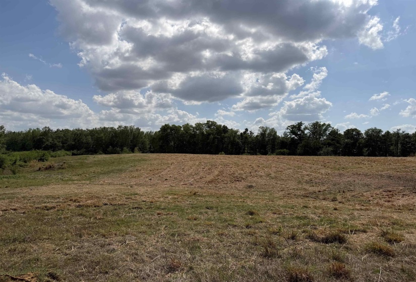 2 SALTILLO RD, Morris Chapel, Tennessee 38361, 0 , 0 ,0,Land,For Sale,SALTILLO,0,10220114