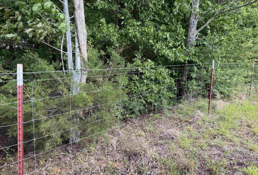 2 SALTILLO RD, Morris Chapel, Tennessee 38361, 0 , 0 ,0,Land,For Sale,SALTILLO,0,10220114