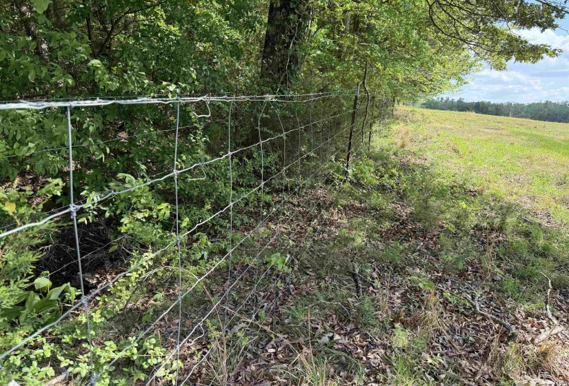 2 SALTILLO RD, Morris Chapel, Tennessee 38361, 0 , 0 ,0,Land,For Sale,SALTILLO,0,10220114