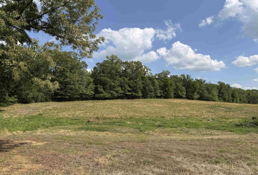 2 SALTILLO RD, Morris Chapel, Tennessee 38361, 0 , 0 ,0,Land,For Sale,SALTILLO,0,10220114