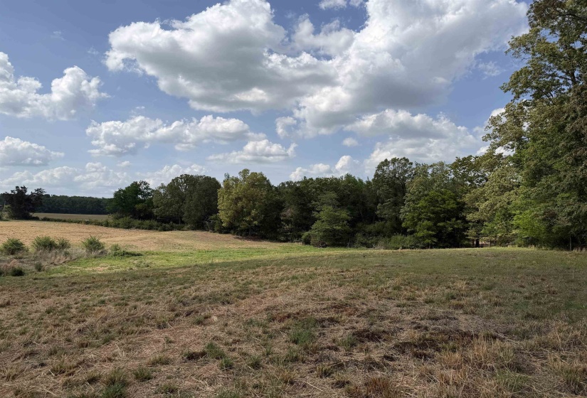 2 SALTILLO RD, Morris Chapel, Tennessee 38361, 0 , 0 ,0,Land,For Sale,SALTILLO,0,10220114