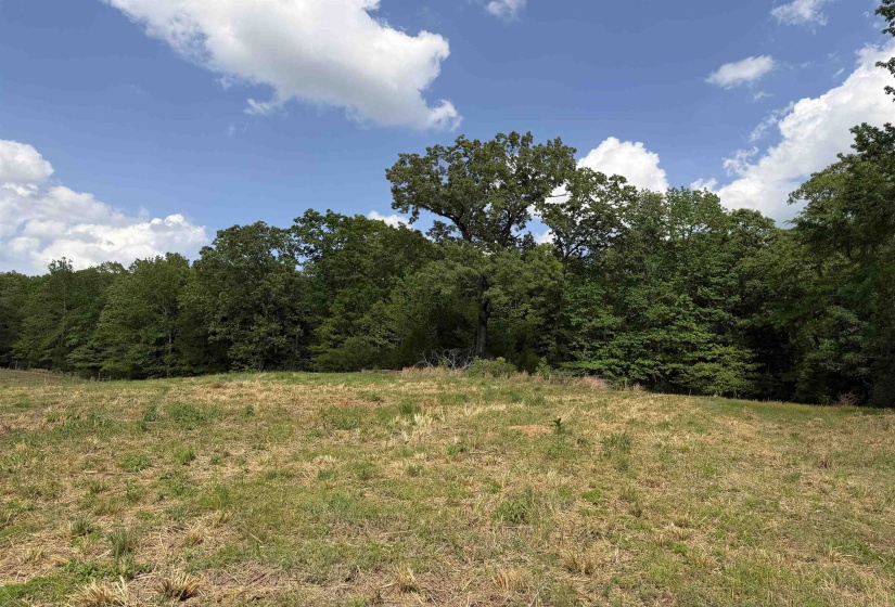 2 SALTILLO RD, Morris Chapel, Tennessee 38361, 0 , 0 ,0,Land,For Sale,SALTILLO,0,10220114