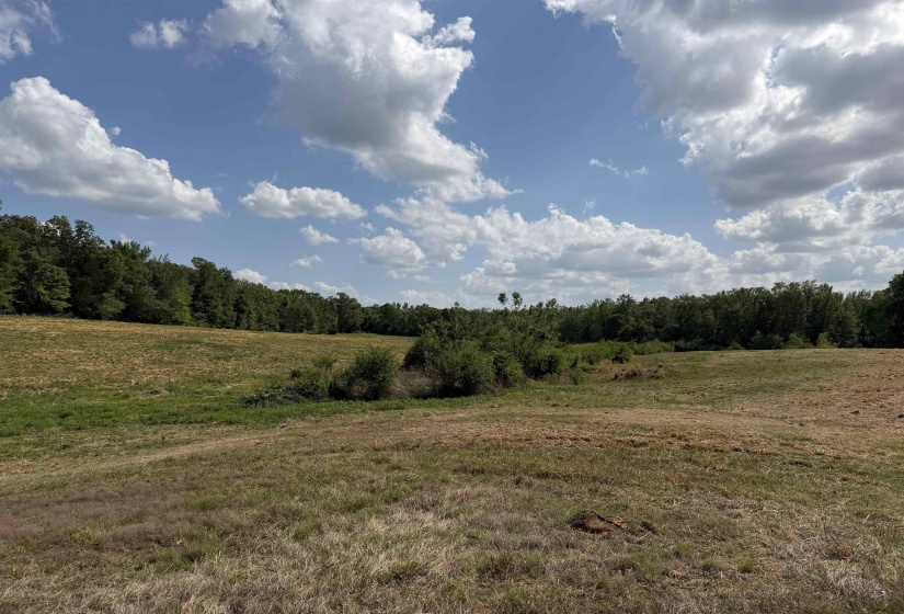 2 SALTILLO RD, Morris Chapel, Tennessee 38361, 0 , 0 ,0,Land,For Sale,SALTILLO,0,10220114