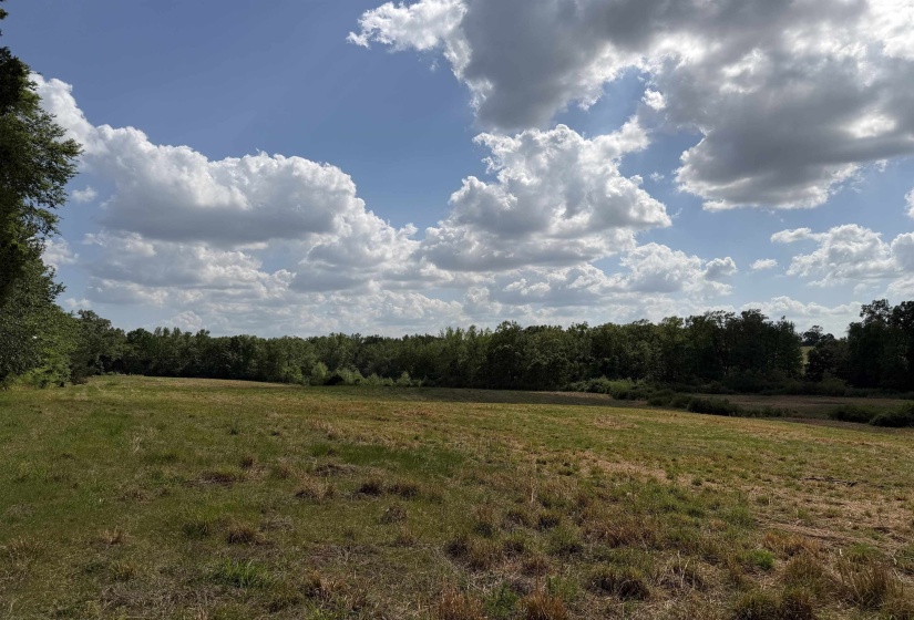 2 SALTILLO RD, Morris Chapel, Tennessee 38361, 0 , 0 ,0,Land,For Sale,SALTILLO,0,10220114