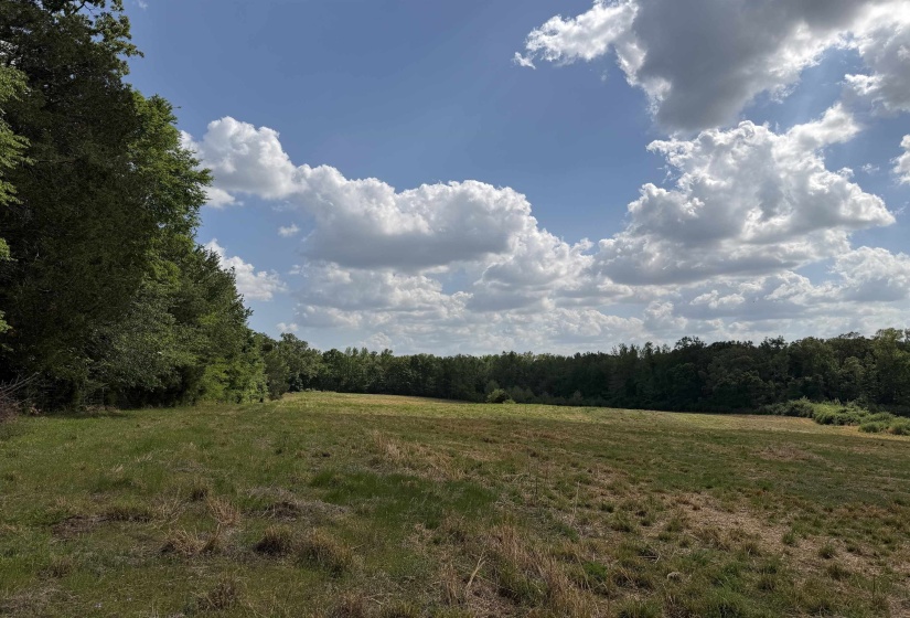 2 SALTILLO RD, Morris Chapel, Tennessee 38361, 0 , 0 ,0,Land,For Sale,SALTILLO,0,10220114