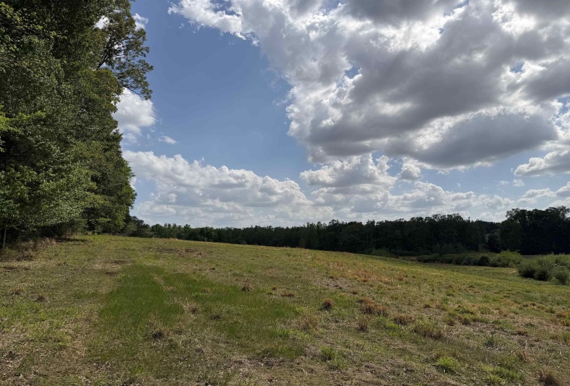 2 SALTILLO RD, Morris Chapel, Tennessee 38361, 0 , 0 ,0,Land,For Sale,SALTILLO,0,10220114