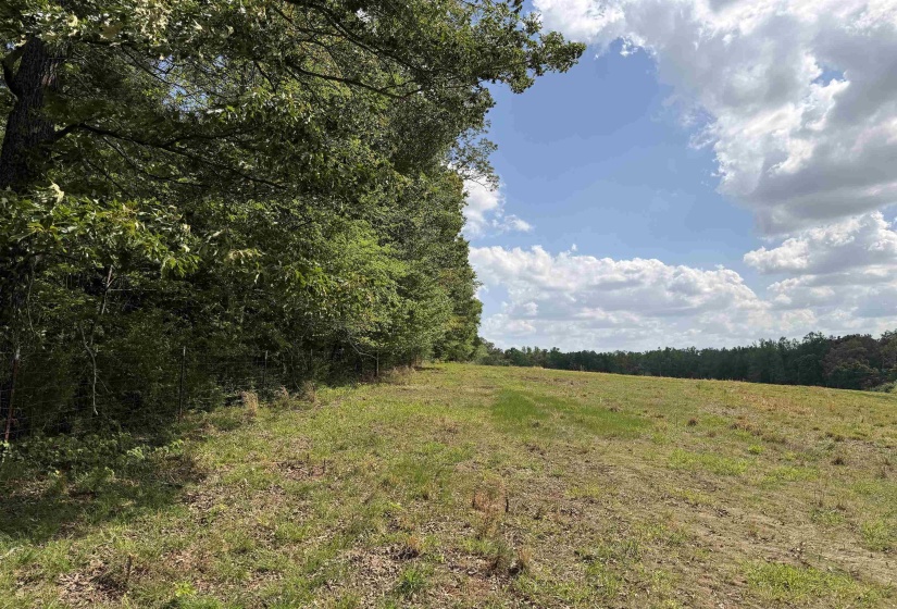 2 SALTILLO RD, Morris Chapel, Tennessee 38361, 0 , 0 ,0,Land,For Sale,SALTILLO,0,10220114