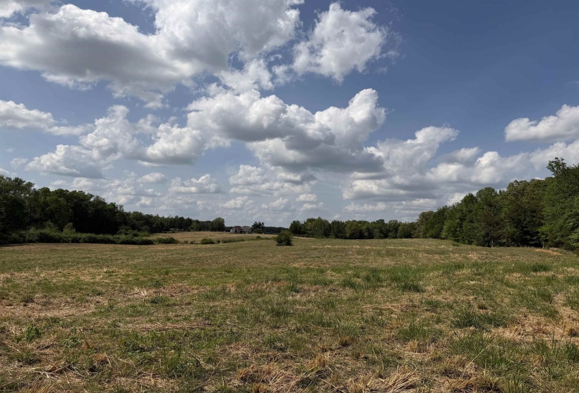2 SALTILLO RD, Morris Chapel, Tennessee 38361, 0 , 0 ,0,Land,For Sale,SALTILLO,0,10220114