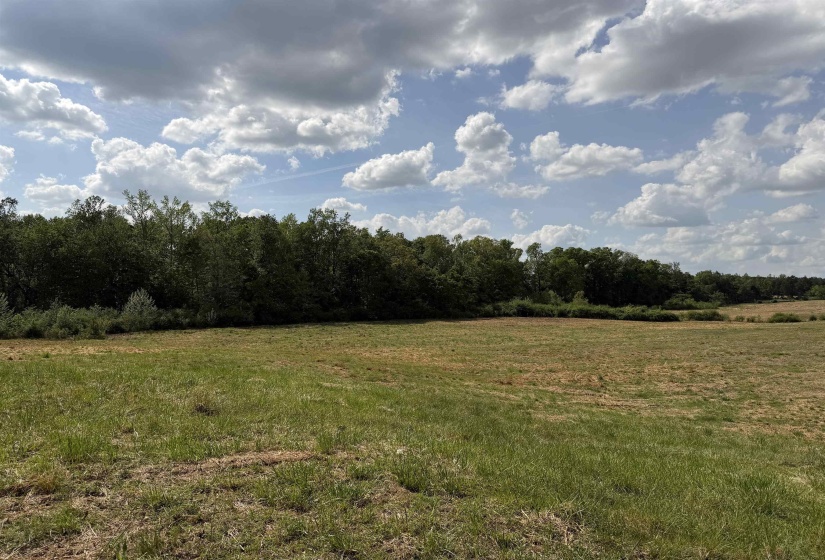 2 SALTILLO RD, Morris Chapel, Tennessee 38361, 0 , 0 ,0,Land,For Sale,SALTILLO,0,10220114