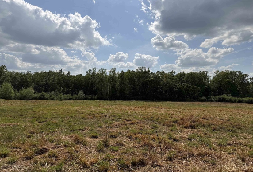 2 SALTILLO RD, Morris Chapel, Tennessee 38361, 0 , 0 ,0,Land,For Sale,SALTILLO,0,10220114