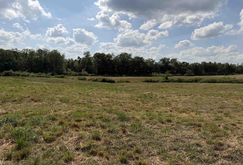 2 SALTILLO RD, Morris Chapel, Tennessee 38361, 0 , 0 ,0,Land,For Sale,SALTILLO,0,10220114