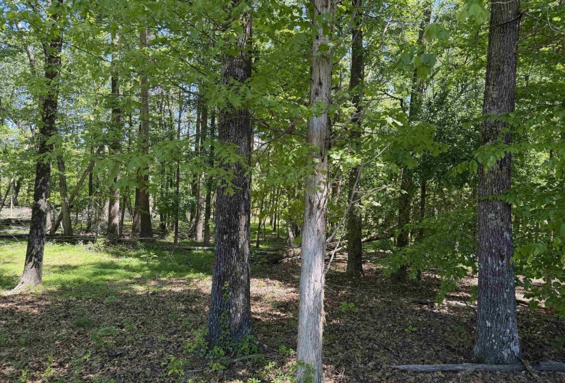 2 SALTILLO RD, Morris Chapel, Tennessee 38361, 0 , 0 ,0,Land,For Sale,SALTILLO,0,10220114