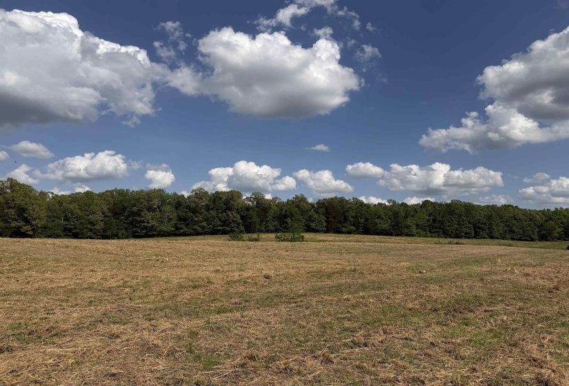 2 SALTILLO RD, Morris Chapel, Tennessee 38361, 0 , 0 ,0,Land,For Sale,SALTILLO,0,10220114