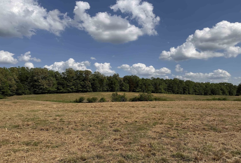 2 SALTILLO RD, Morris Chapel, Tennessee 38361, 0 , 0 ,0,Land,For Sale,SALTILLO,0,10220114