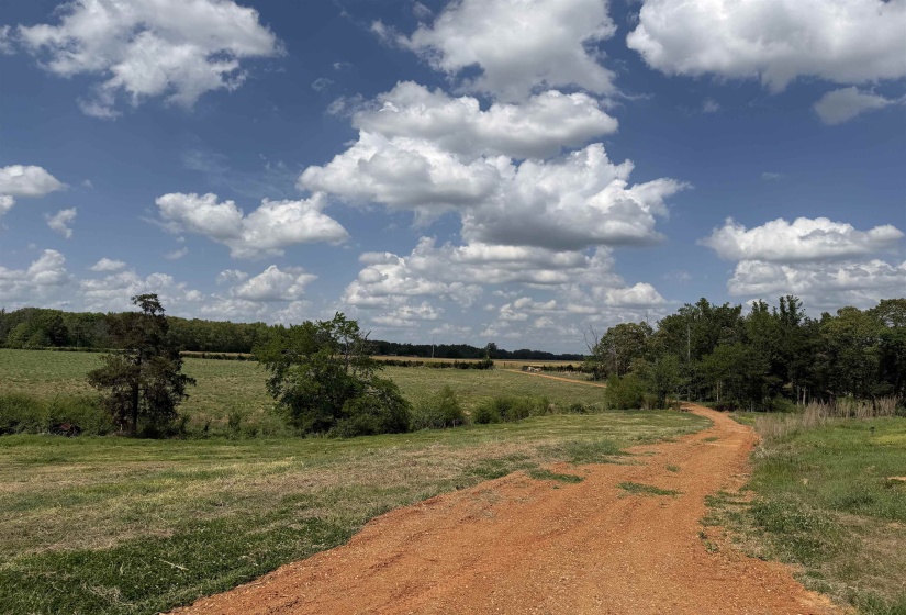 3 SALTILLO RD, Morris Chapel, Tennessee 38361, ,Land,For Sale,SALTILLO,10220125