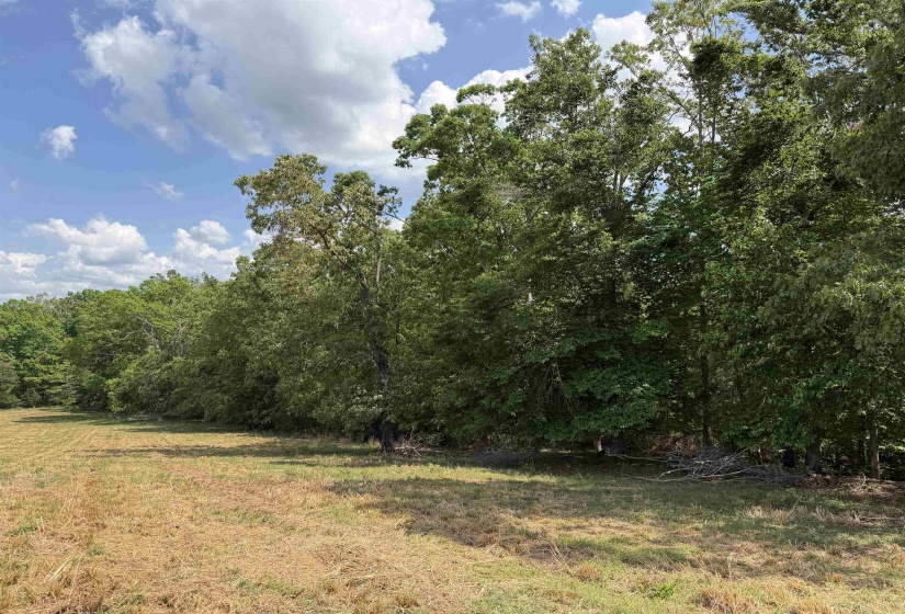 3 SALTILLO RD, Morris Chapel, Tennessee 38361, ,Land,For Sale,SALTILLO,10220125