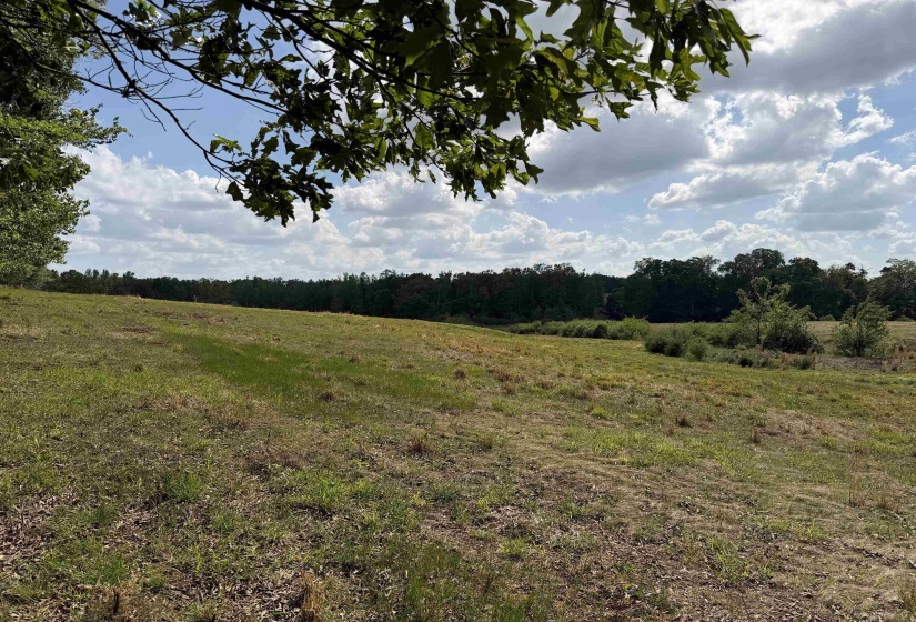 3 SALTILLO RD, Morris Chapel, Tennessee 38361, ,Land,For Sale,SALTILLO,10220125