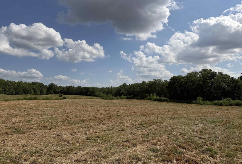 3 SALTILLO RD, Morris Chapel, Tennessee 38361, ,Land,For Sale,SALTILLO,10220125