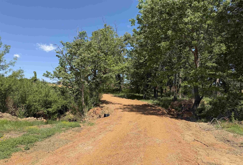 3 SALTILLO RD, Morris Chapel, Tennessee 38361, ,Land,For Sale,SALTILLO,10220125