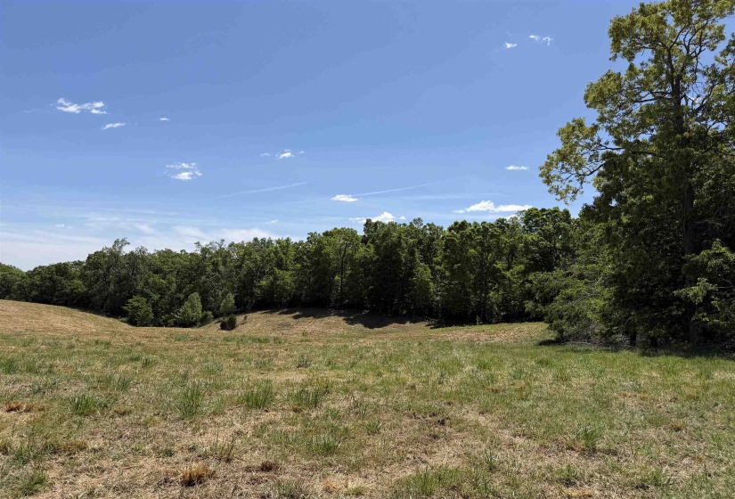 3 SALTILLO RD, Morris Chapel, Tennessee 38361, ,Land,For Sale,SALTILLO,10220125