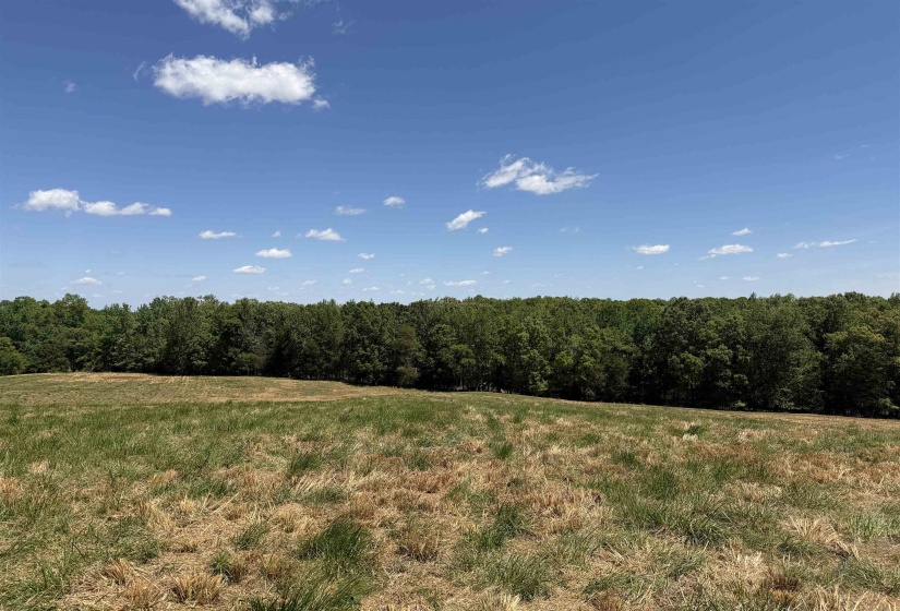 3 SALTILLO RD, Morris Chapel, Tennessee 38361, ,Land,For Sale,SALTILLO,10220125