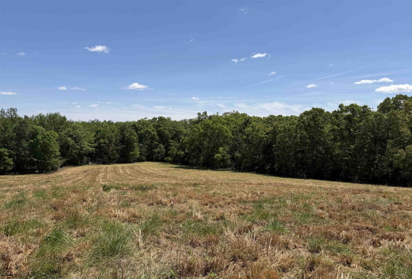 3 SALTILLO RD, Morris Chapel, Tennessee 38361, ,Land,For Sale,SALTILLO,10220125