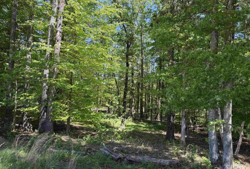 3 SALTILLO RD, Morris Chapel, Tennessee 38361, ,Land,For Sale,SALTILLO,10220125
