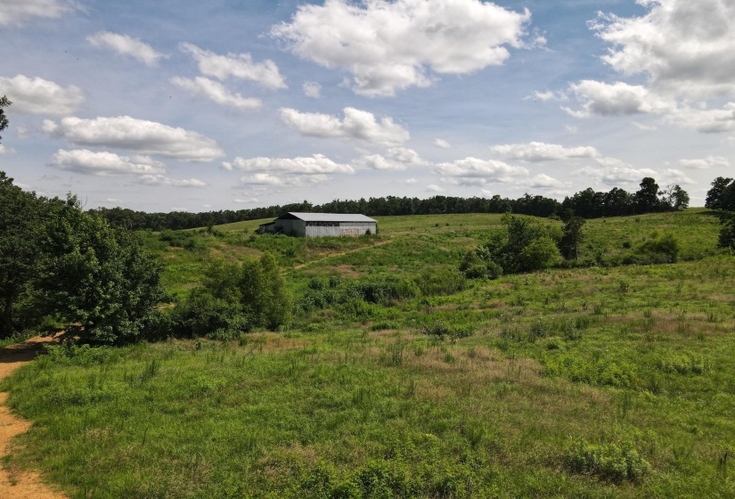 3 SALTILLO RD, Morris Chapel, Tennessee 38361, ,Land,For Sale,SALTILLO,10220125