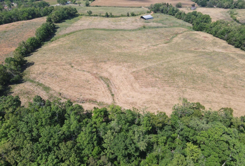 3 SALTILLO RD, Morris Chapel, Tennessee 38361, ,Land,For Sale,SALTILLO,10220125