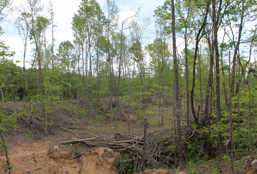 000 RIVERSIDE DR, Jackson, Tennessee 38301, ,Land,For Sale,RIVERSIDE,10220128