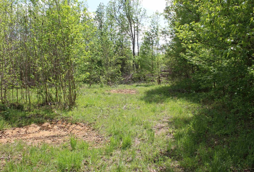 000 RIVERSIDE DR, Jackson, Tennessee 38301, ,Land,For Sale,RIVERSIDE,10220128