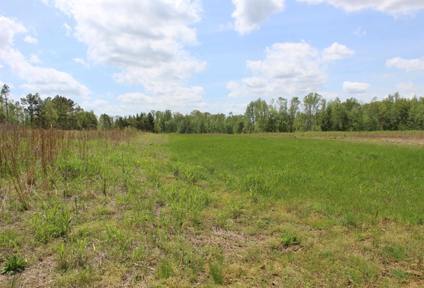 000 RIVERSIDE DR, Jackson, Tennessee 38301, ,Land,For Sale,RIVERSIDE,10220128