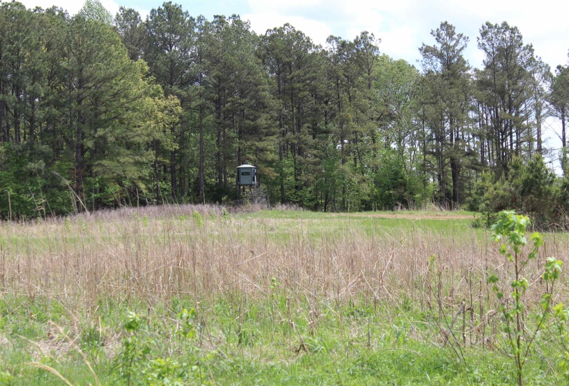 000 RIVERSIDE DR, Jackson, Tennessee 38301, ,Land,For Sale,RIVERSIDE,10220128