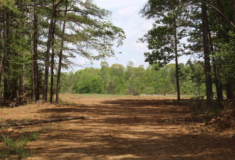 000 RIVERSIDE DR, Jackson, Tennessee 38301, ,Land,For Sale,RIVERSIDE,10220128