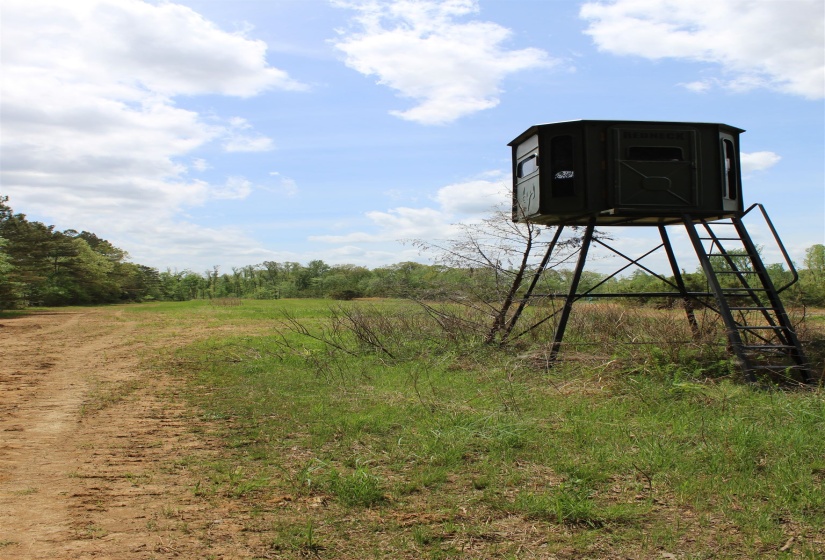 000 RIVERSIDE DR, Jackson, Tennessee 38301, ,Land,For Sale,RIVERSIDE,10220128